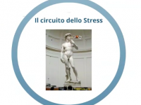 Il Circuito dello Stress