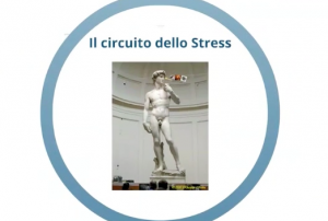 Il Circuito dello Stress