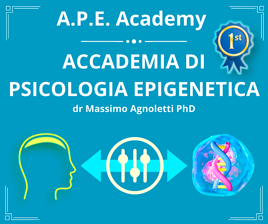 img postFB APE academy