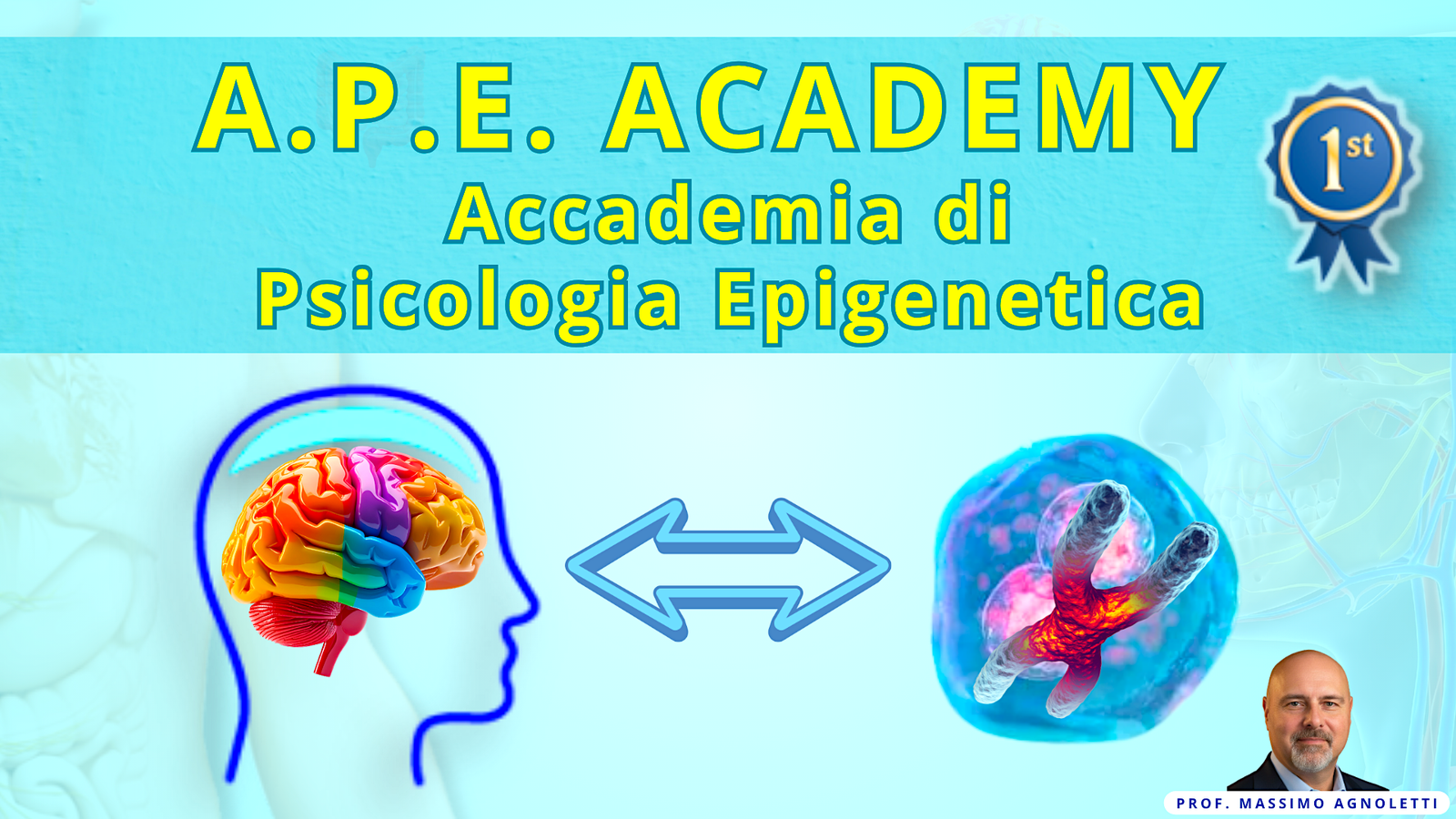 img APE ACADEMY 06042026